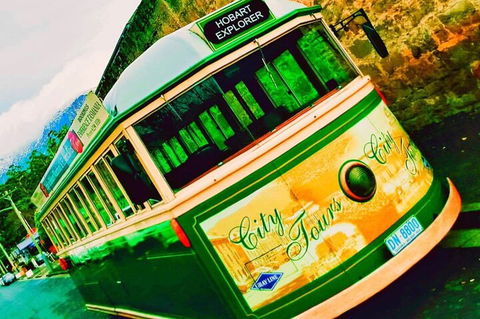 Hobart Half-Day Sightseeing Coach Tram Tour - Accommodation Great Ocean Road 5