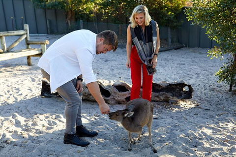 Albany's Whale Story - Accommodation Great Ocean Road 1