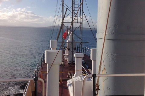 Albany's Whale Story - Accommodation Great Ocean Road 2