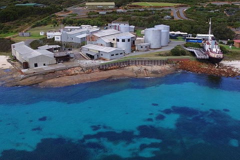 Albany's Whale Story - Accommodation Great Ocean Road 4