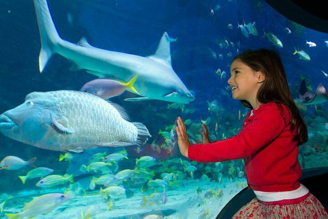 Melbourne BIG Ticket - LEGOLAND Discovery And SEA LIFE Melbourne - Accommodation Great Ocean Road 1
