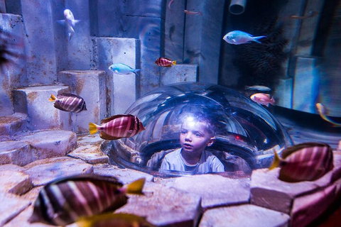 Melbourne BIG Ticket - LEGOLAND Discovery And SEA LIFE Melbourne - Accommodation Great Ocean Road 5