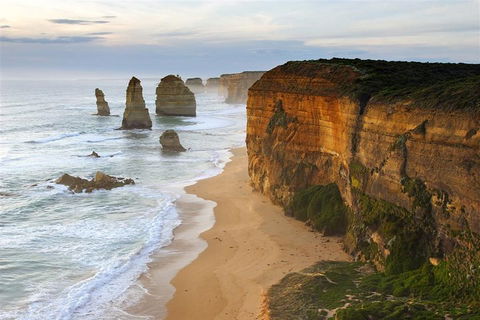 Melbourne Combo: Great Ocean Road + Phillip Island Express + Attraction Pass - Accommodation Great Ocean Road 5