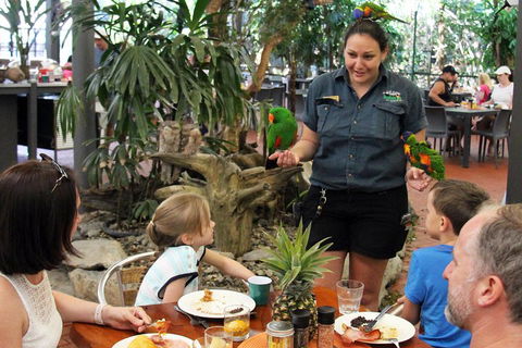 Wildlife Habitat Port Douglas - Accommodation Great Ocean Road 2