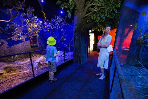 Wildlife Habitat Port Douglas - Accommodation Great Ocean Road 4