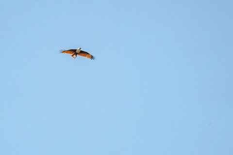 North Stradbroke Island Day Trip From Brisbane - Accommodation Great Ocean Road 4