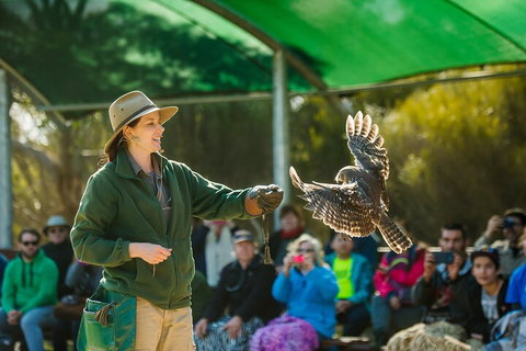 Full Day Kangaroo Island Sip And See Tour Departing From Kangaroo Island - Accommodation Great Ocean Road 1