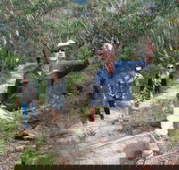 Small-Group Blue Mountains Tour with Bush Walks and Featherdale Wildlife Park - Accommodation Great Ocean Road