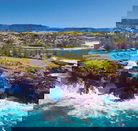Sydney Wine Tour  Wine Waves  Wildlife in South Coast - Accommodation Great Ocean Road