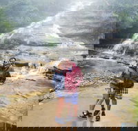 Blue Mountains Day Trip from Sydney with amazing lookouts Private Tour - Accommodation Great Ocean Road