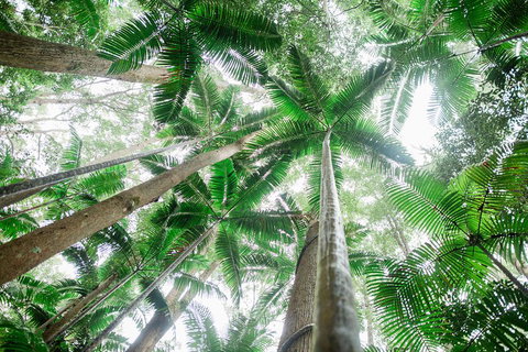 Fraser Explorer K'gari 2-Day Tour - Accommodation Great Ocean Road 2