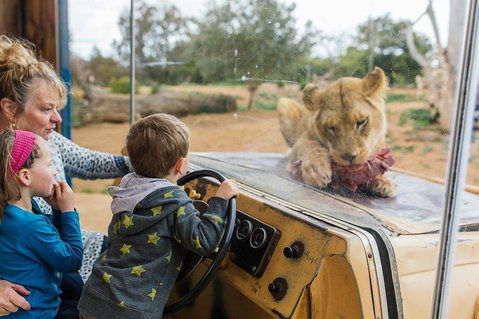 Werribee Open Range Zoo General Admission Ticket - Accommodation Great Ocean Road 4