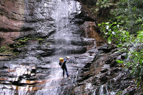Full-Day Canyoning Experience At Stunning Empress Canyon - Accommodation Great Ocean Road 0