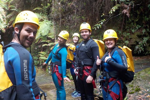 Full-Day Canyoning Experience At Stunning Empress Canyon - Accommodation Great Ocean Road 1