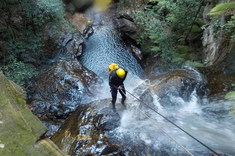 Full-Day Canyoning Experience At Stunning Empress Canyon - Accommodation Great Ocean Road 4
