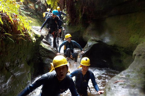 Full-Day Canyoning Experience At Stunning Empress Canyon - Accommodation Great Ocean Road 5