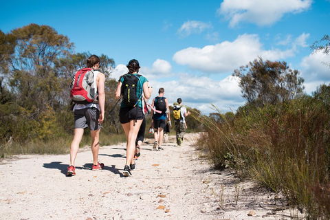 Pittwater Discovery Kayaking Tour - Accommodation Great Ocean Road 0