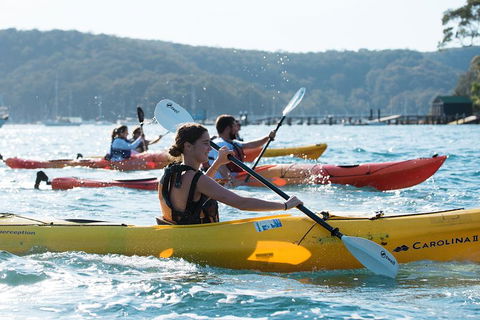 Pittwater Discovery Kayaking Tour - Accommodation Great Ocean Road 2
