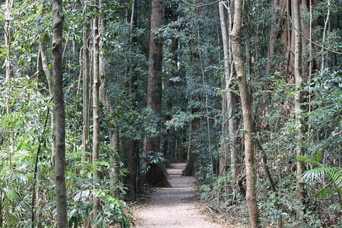 Eumundi Markets And Sunshine Coast Day Trip From Brisbane - Accommodation Great Ocean Road 4