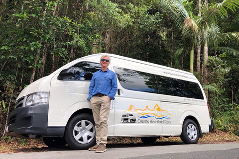 Sunshine Coast Hinterland Rainforest, Views And Montville Day Tour Inc. Lunch - Accommodation Great Ocean Road 1