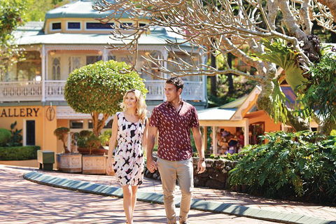 Sunshine Coast Hinterland Rainforest, Views And Montville Day Tour Inc. Lunch - Accommodation Great Ocean Road 4