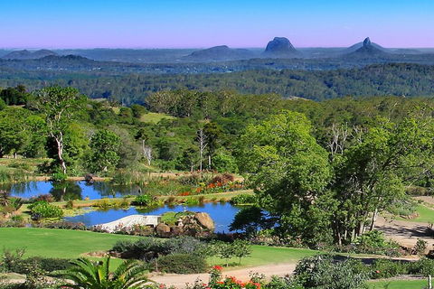 Sunshine Coast Hinterland Rainforest, Views And Montville Day Tour Inc. Lunch - Accommodation Great Ocean Road 5