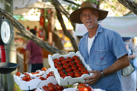 Sunshine Coast Eumundi Markets Return Minibus Transfer - Accommodation Great Ocean Road 5