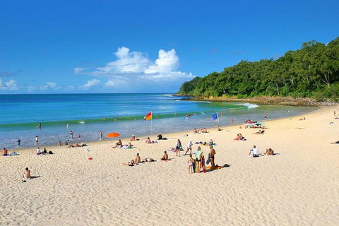 Noosa Everglades Serenity Cruise & Highlights Tour Inc. Lunch & Cruise - Accommodation Great Ocean Road 4