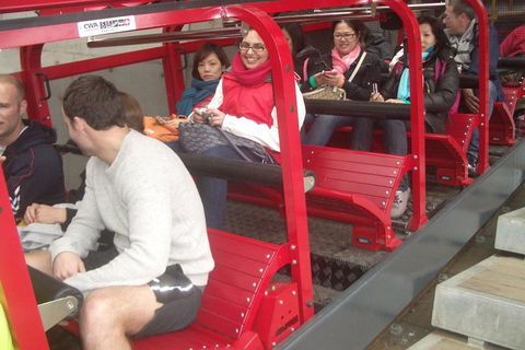 Blue Mountains Private Tour With Wildlife Park And River Cruise - Accommodation Great Ocean Road 0