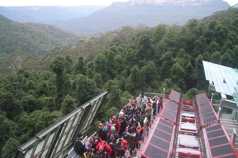 Blue Mountains Private Tour With Wildlife Park And River Cruise - Accommodation Great Ocean Road 1
