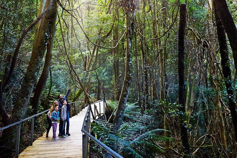 Blue Mountains Private Tour With Wildlife Park And River Cruise - Accommodation Great Ocean Road 4