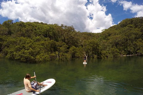 Ku-ring-gai Chase National Park Stand Up Paddleboard Tour - Accommodation Great Ocean Road 1