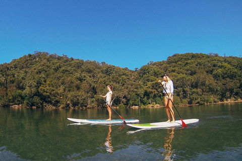 Ku-ring-gai Chase National Park Stand Up Paddleboard Tour - Accommodation Great Ocean Road 2