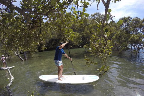 Ku-ring-gai Chase National Park Stand Up Paddleboard Tour - Accommodation Great Ocean Road 3