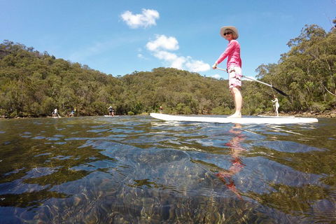 Ku-ring-gai Chase National Park Stand Up Paddleboard Tour - Accommodation Great Ocean Road 4