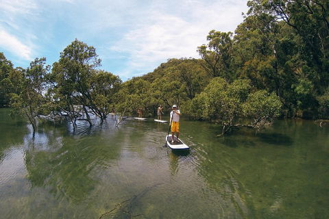Ku-ring-gai Chase National Park Stand Up Paddleboard Tour - Accommodation Great Ocean Road 5
