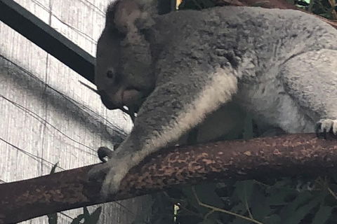 Perth Hills - Wildlife, Art & Gastronomy - Accommodation Great Ocean Road 3