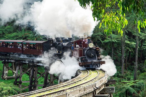 Puffing Billy And Healesville Sanctuary Scenic Tour - Accommodation Great Ocean Road 1