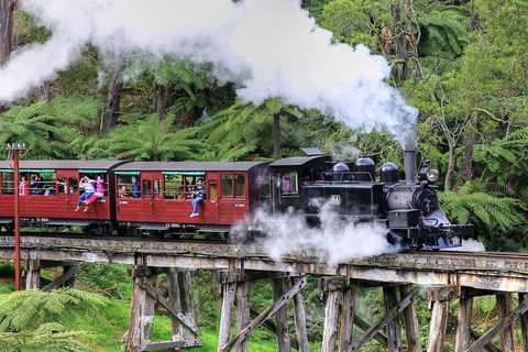 Puffing Billy And Healesville Sanctuary Scenic Tour - Accommodation Great Ocean Road 2