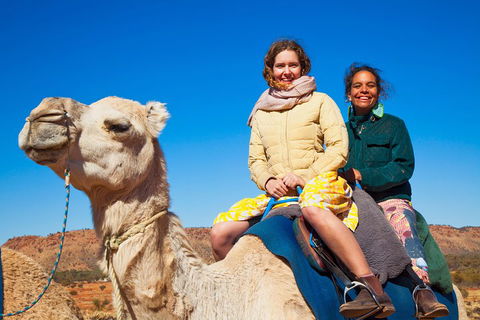 Alice Springs Camel Tour - Accommodation Great Ocean Road 3