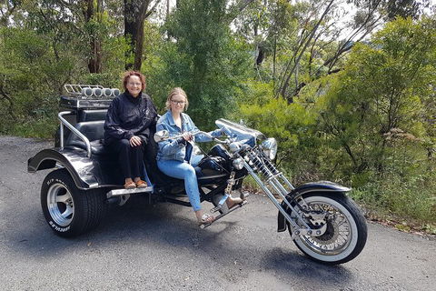 Blue Mountains 1-Hour Trike Tour Of Three Sisters - Accommodation Great Ocean Road 1