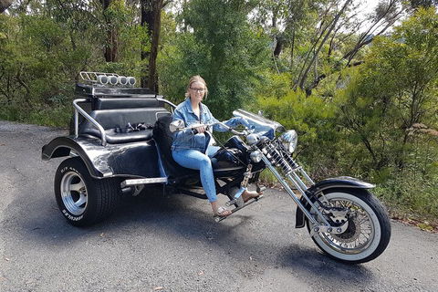 Blue Mountains 1-Hour Trike Tour Of Three Sisters - Accommodation Great Ocean Road 4
