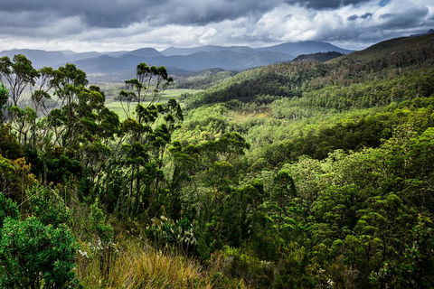 5-Day Lap Of Tasmania Tour From Hobart (flexible Ticket) - Accommodation Great Ocean Road 2