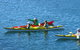 Half-Day Sydney Middle Harbour Guided Kayaking Eco Tour - thumb 0