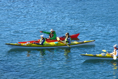 Half-Day Sydney Middle Harbour Guided Kayaking Eco Tour - Accommodation Great Ocean Road 0