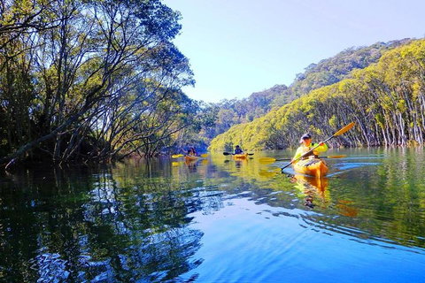 Half-Day Sydney Middle Harbour Guided Kayaking Eco Tour - Accommodation Great Ocean Road 1