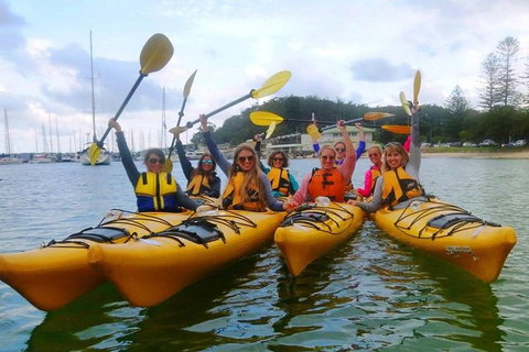 Half-Day Sydney Middle Harbour Guided Kayaking Eco Tour - Accommodation Great Ocean Road 2
