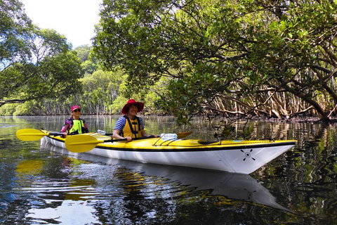 Half-Day Sydney Middle Harbour Guided Kayaking Eco Tour - Accommodation Great Ocean Road 3