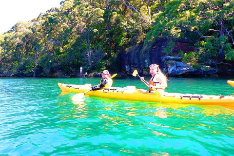 Half-Day Sydney Middle Harbour Guided Kayaking Eco Tour - Accommodation Great Ocean Road 4