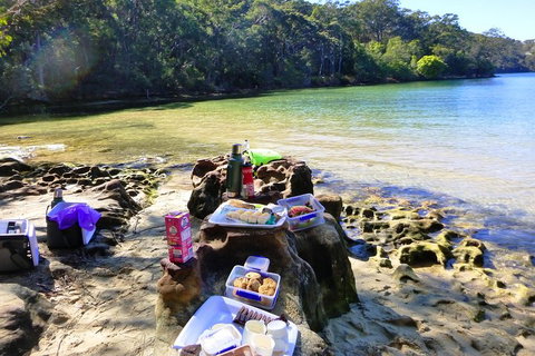 Half-Day Sydney Middle Harbour Guided Kayaking Eco Tour - Accommodation Great Ocean Road 5